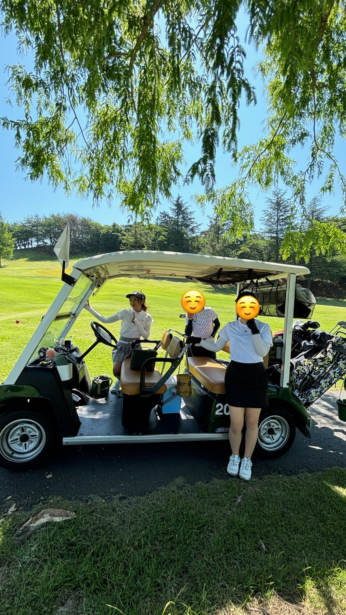 ゴルフィアスクランブル　