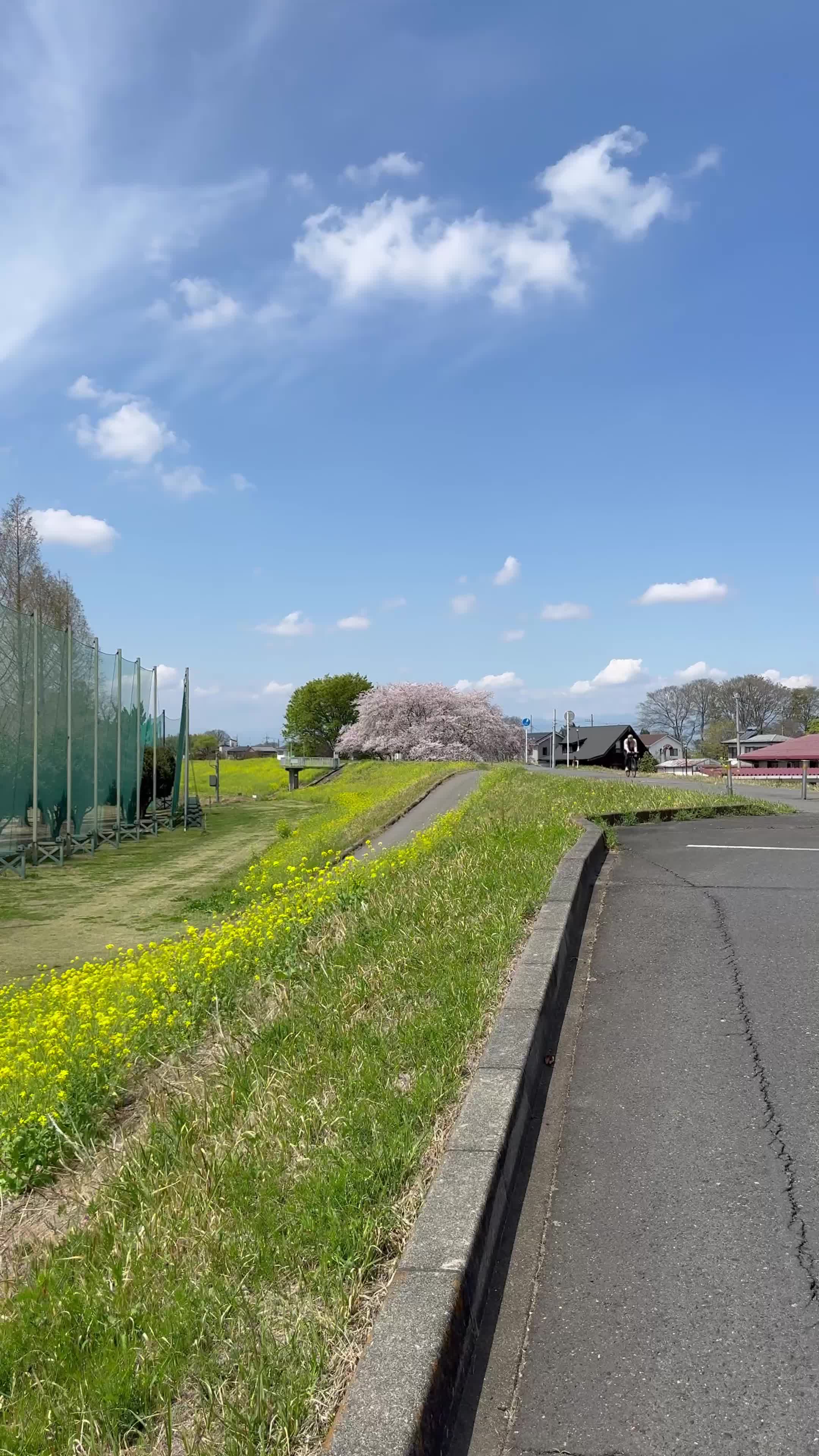 4月の新玉村ゴルフ場