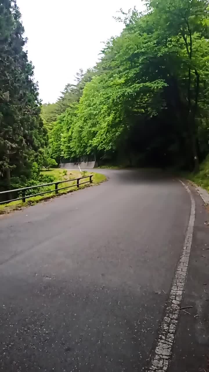 中盤コース風景
