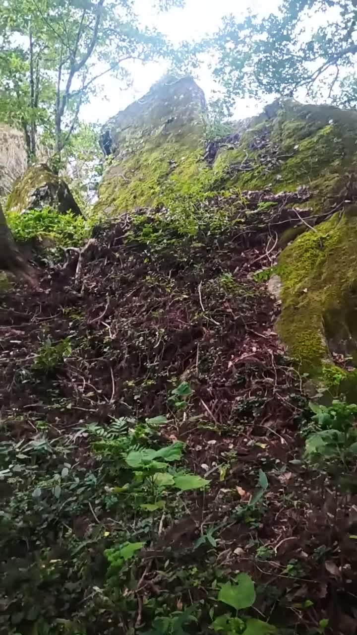 雨請石山コース【雨請石】
