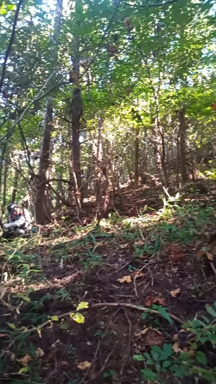 雨請石山コース【整備中】