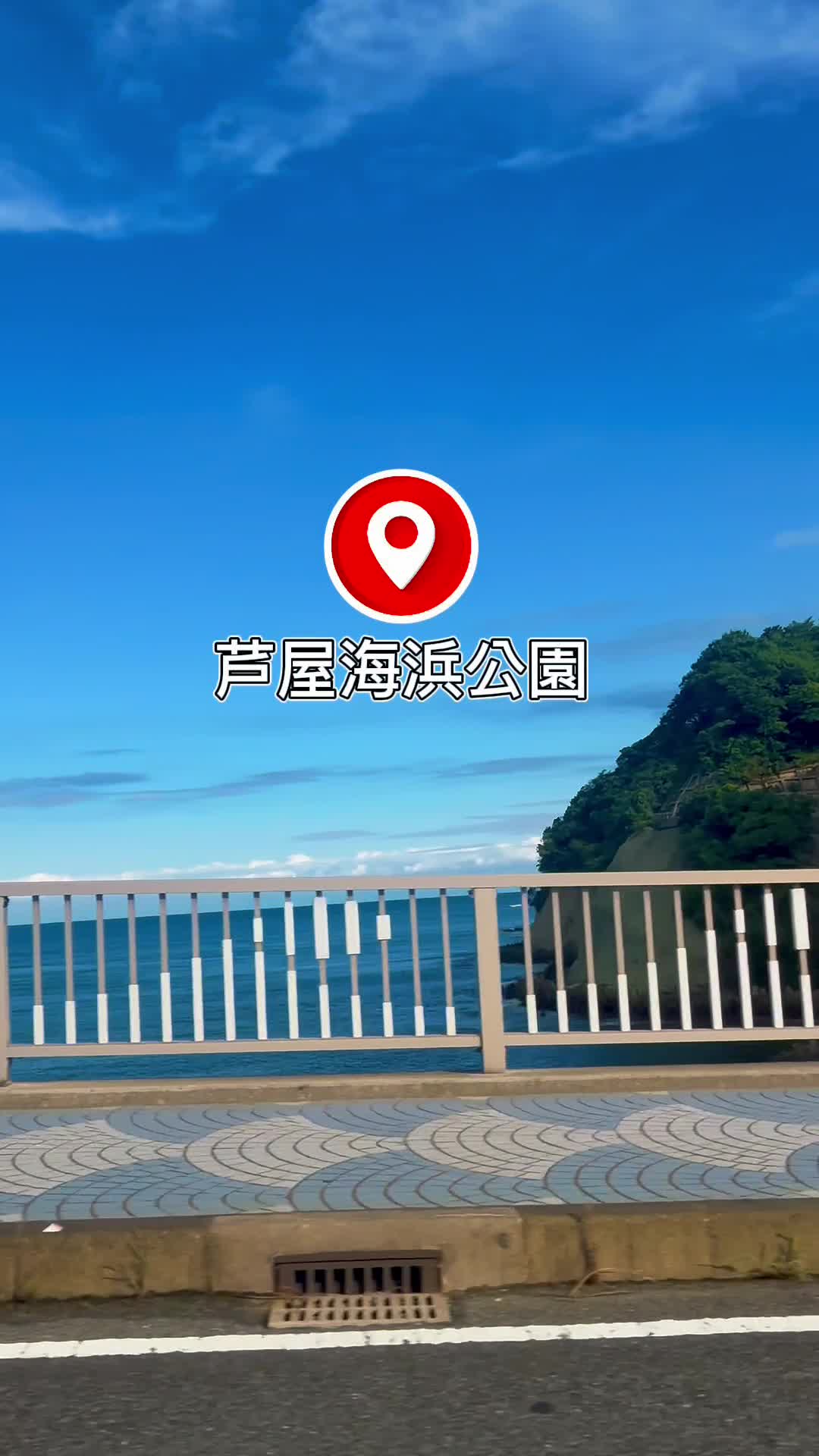 芦屋海浜公園ってこんなとこ！