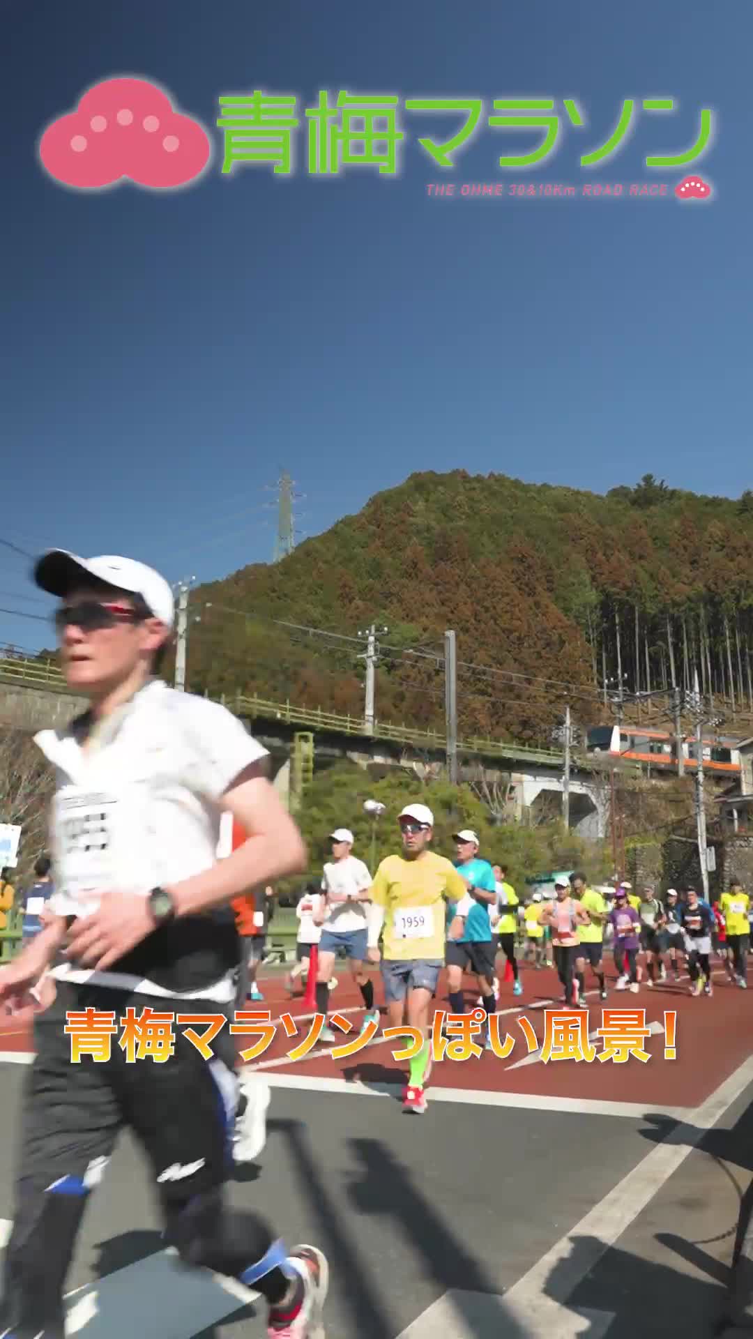 青梅マラソン30kmコース