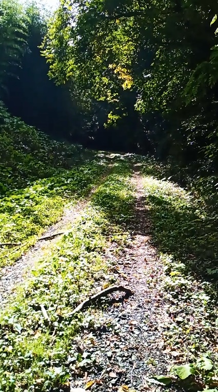3.3km地点