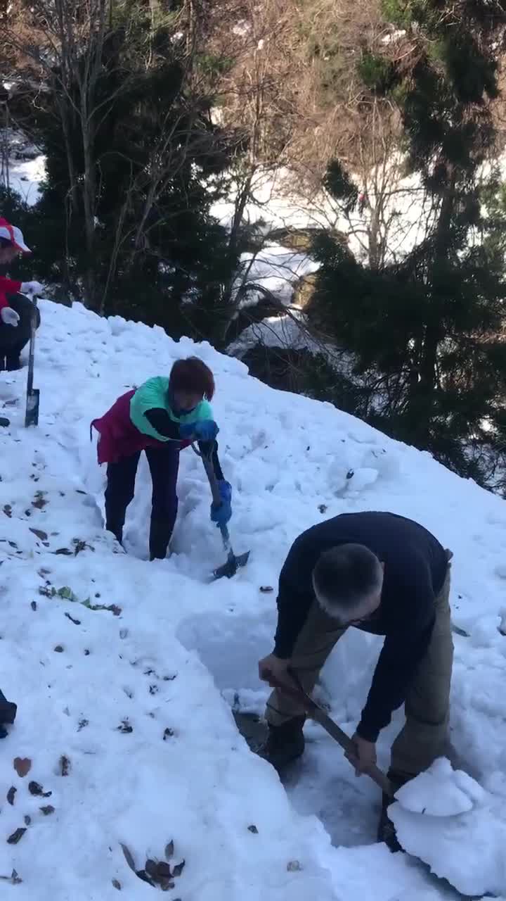 戸沢林道除雪作業